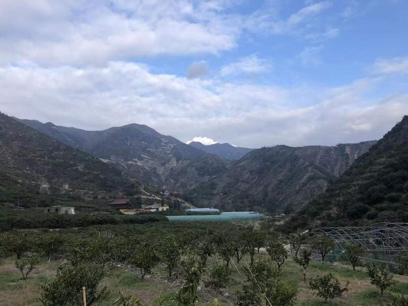  深层揭秘：高校学子如何重塑百年果园的数字化商业版图 企业服务