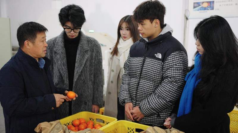  深层揭秘：高校学子如何重塑百年果园的数字化商业版图 企业服务