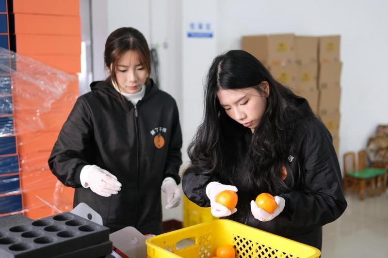  深层揭秘：高校学子如何重塑百年果园的数字化商业版图 企业服务