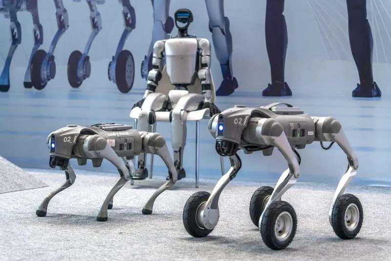  揭秘人形机器人巨头：宇树科技的百亿估值与技术变现路径 股票财经