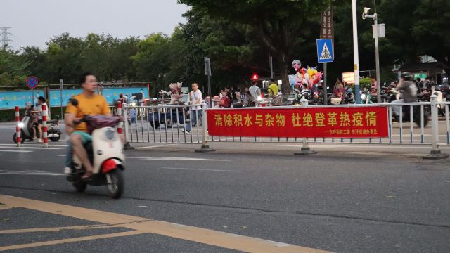  面对虫媒威胁的焦虑：从管理升级看科学守护指南 健康养生