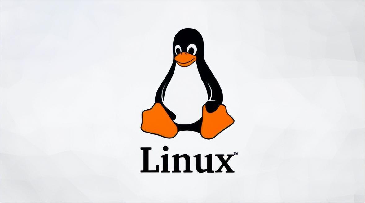  数字时代的守夜人：为何我们仍需理解斯托曼的执念？ IT技术