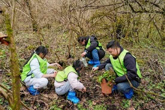 当城市孩子遇见山野：一位重庆妈妈的西岭雪山春假治愈之旅 文化旅游