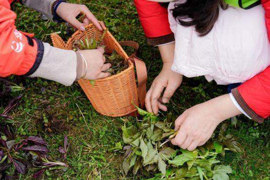  当城市孩子遇见山野：一位重庆妈妈的西岭雪山春假治愈之旅 文化旅游