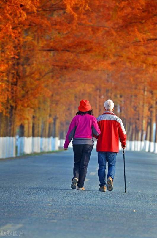  婚姻中的隐性成本：一个家庭主妇的自我觉醒与边界重塑 情感心理