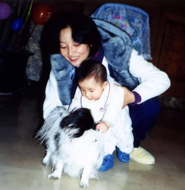  艺术基因与跨界抉择：马羚三十年来多维蜕变的方法论 影视小说