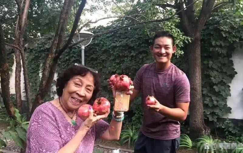  艺术基因与跨界抉择：马羚三十年来多维蜕变的方法论 影视小说