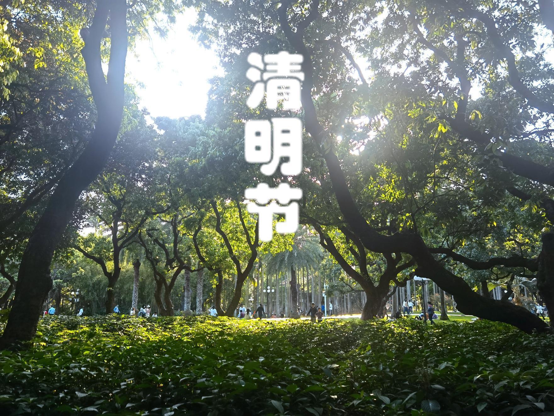  【深度解析】从分子层面拆解清明食俗：艾草碱液反应与糯米支链淀粉的养生密码 新闻