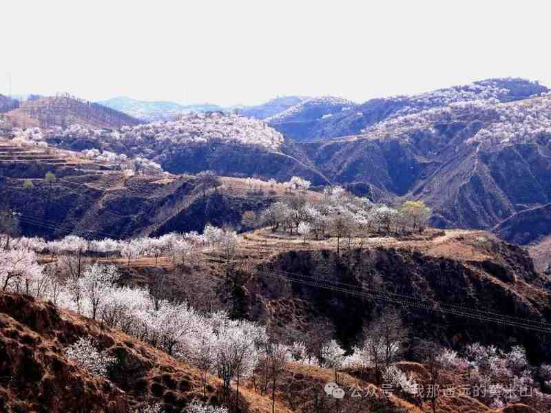 晋公子流亡地理考:重耳文化带的黄米山遗产解码 文化旅游 晋公子流亡地理考:重耳文化带的黄米山遗产解码 文化旅游