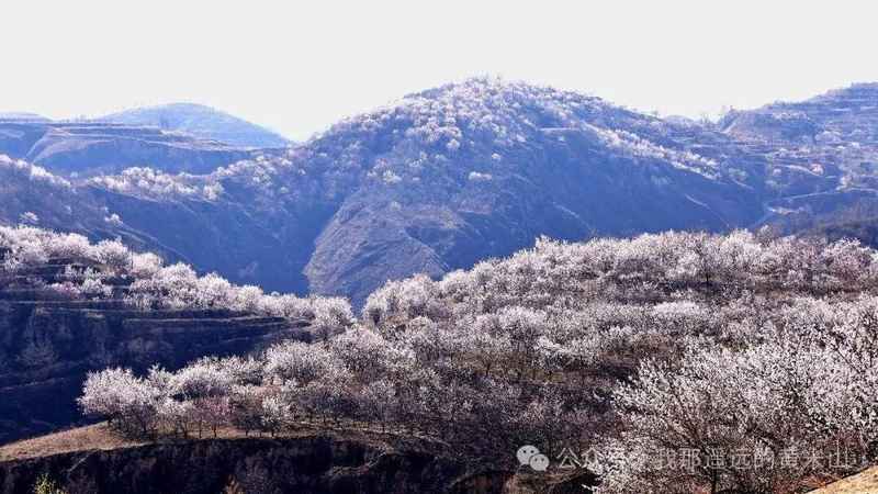 晋公子流亡地理考:重耳文化带的黄米山遗产解码 文化旅游 晋公子流亡地理考:重耳文化带的黄米山遗产解码 文化旅游