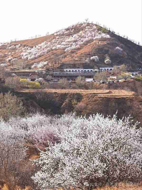 晋公子流亡地理考:重耳文化带的黄米山遗产解码 文化旅游 晋公子流亡地理考:重耳文化带的黄米山遗产解码 文化旅游