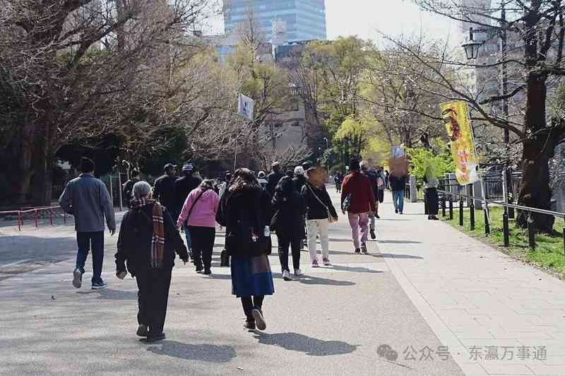 访日游客市场结构性变化:中国人数据断崖下跌的多维归因 新闻