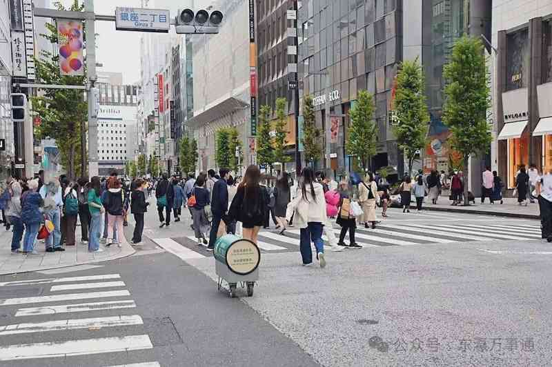 访日游客市场结构性变化:中国人数据断崖下跌的多维归因 新闻