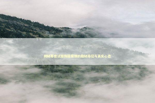 揭秘那些试图挽回爱情的隐秘路径与真实心态