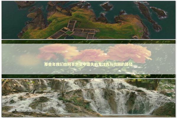 那些年我们在网页浏览中遗失的专注力与找回的路径 IT技术