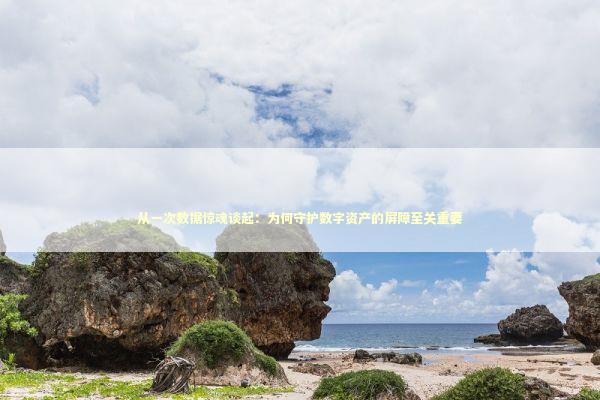 从一次数据惊魂谈起：为何守护数字资产的屏障至关重要 IT技术