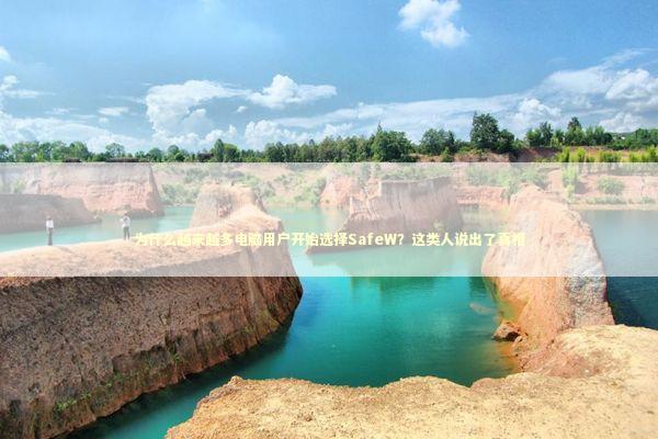 为什么越来越多电脑用户开始选择SafeW？这类人说出了真相 IT技术