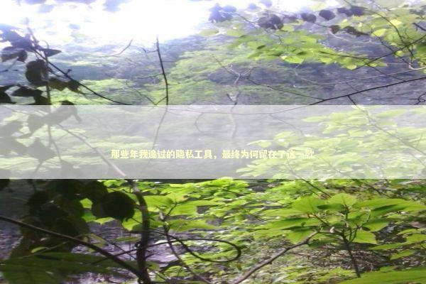 那些年我追过的隐私工具，最终为何留在了这一款 IT技术