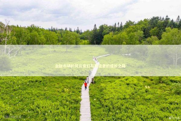 金融市场的风云变幻与投资者的成长之路 股票财经