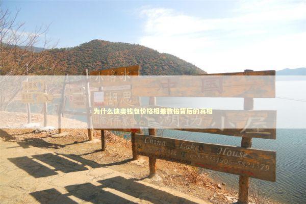 为什么迪奥钱包价格相差数倍背后的真相 时尚用品