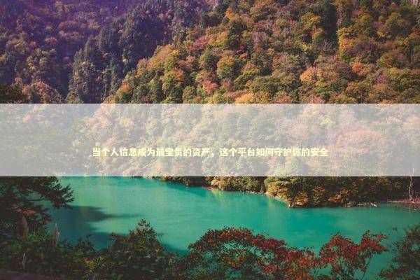 当个人信息成为最宝贵的资产，这个平台如何守护你的安全 IT技术