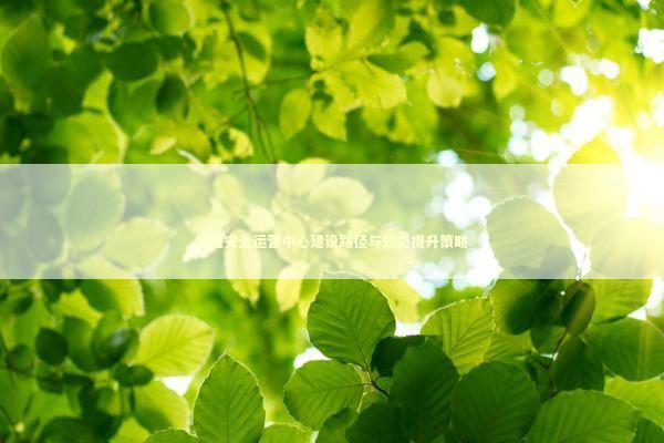 智能安全运营中心建设路径与效能提升策略 IT技术