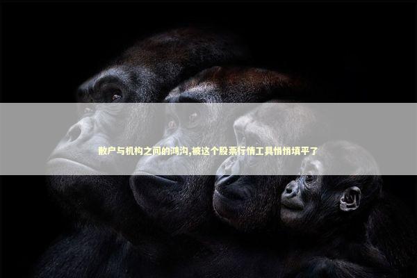 散户与机构之间的鸿沟,被这个股票行情工具悄悄填平了 股票财经