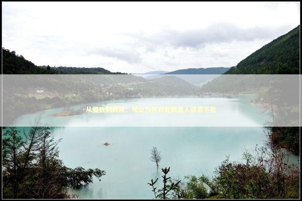 从复仇到救赎：观众为何对蛇蝎美人欲罢不能 新闻